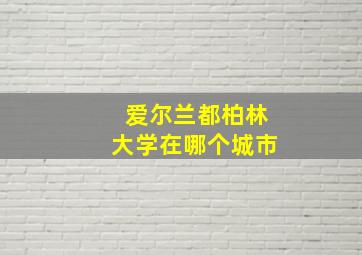 爱尔兰都柏林大学在哪个城市