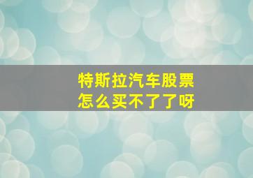 特斯拉汽车股票怎么买不了了呀