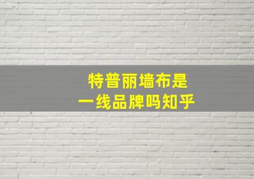 特普丽墙布是一线品牌吗知乎