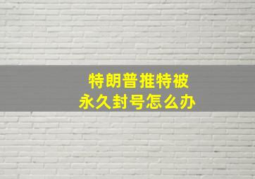 特朗普推特被永久封号怎么办