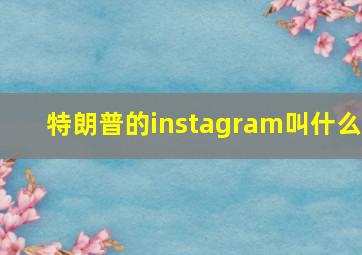 特朗普的instagram叫什么