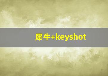 犀牛+keyshot