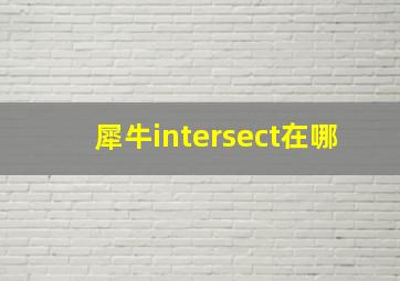 犀牛intersect在哪