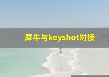 犀牛与keyshot对接