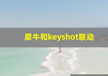 犀牛和keyshot联动