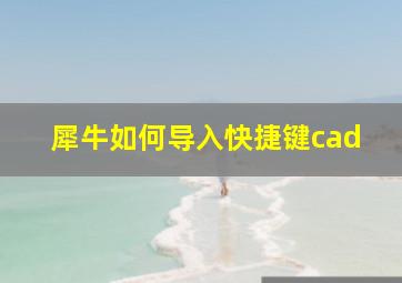 犀牛如何导入快捷键cad