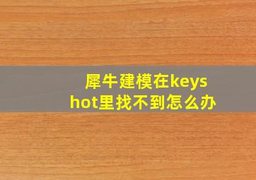 犀牛建模在keyshot里找不到怎么办