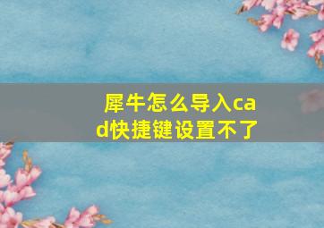 犀牛怎么导入cad快捷键设置不了