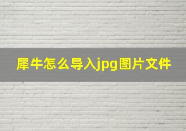 犀牛怎么导入jpg图片文件