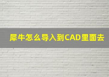 犀牛怎么导入到CAD里面去