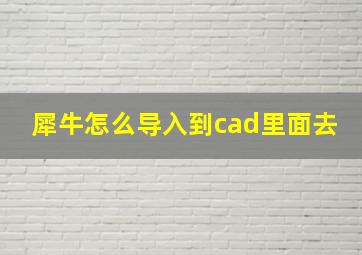 犀牛怎么导入到cad里面去