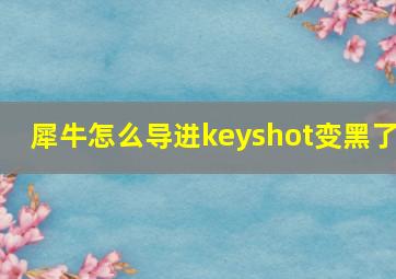 犀牛怎么导进keyshot变黑了