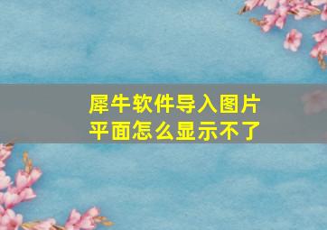 犀牛软件导入图片平面怎么显示不了