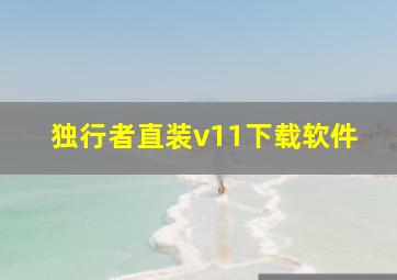 独行者直装v11下载软件