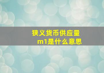 狭义货币供应量m1是什么意思