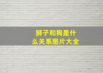 狮子和狗是什么关系图片大全