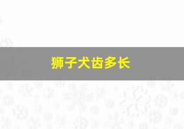 狮子犬齿多长