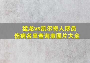 猛龙vs凯尔特人球员伤病名单查询表图片大全