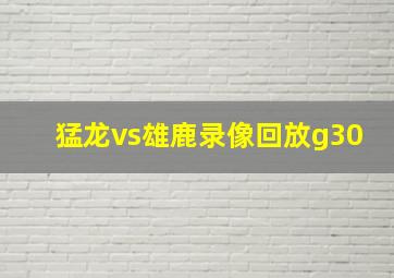 猛龙vs雄鹿录像回放g30