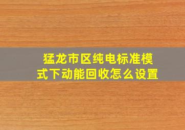 猛龙市区纯电标准模式下动能回收怎么设置