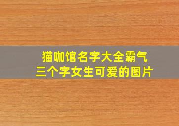 猫咖馆名字大全霸气三个字女生可爱的图片