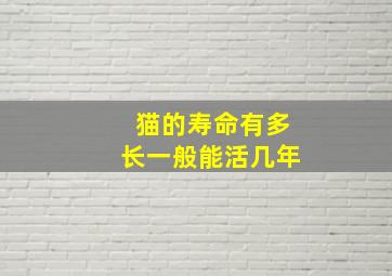 猫的寿命有多长一般能活几年