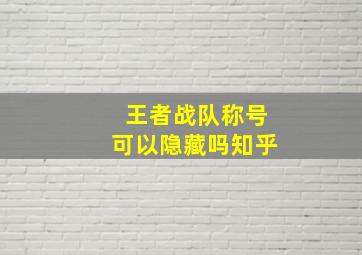 王者战队称号可以隐藏吗知乎