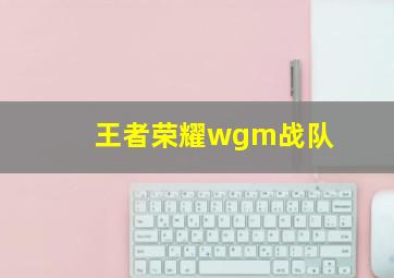 王者荣耀wgm战队