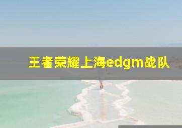 王者荣耀上海edgm战队