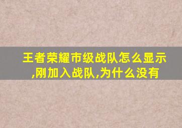 王者荣耀市级战队怎么显示,刚加入战队,为什么没有