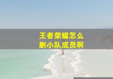 王者荣耀怎么删小队成员啊