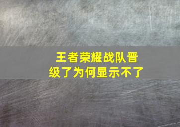 王者荣耀战队晋级了为何显示不了