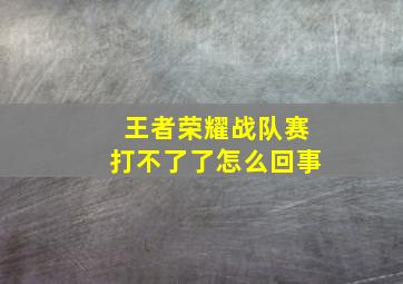 王者荣耀战队赛打不了了怎么回事