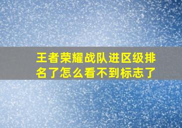 王者荣耀战队进区级排名了怎么看不到标志了