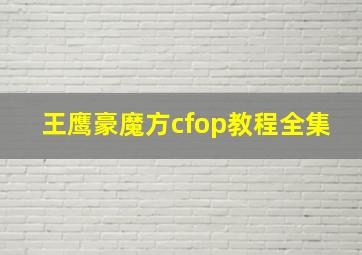 王鹰豪魔方cfop教程全集