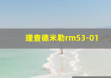 理查德米勒rm53-01