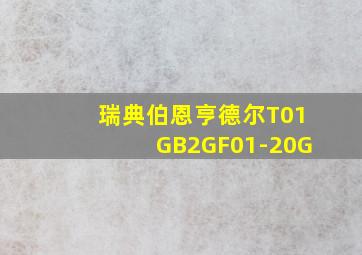 瑞典伯恩亨德尔T01GB2GF01-20G