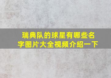 瑞典队的球星有哪些名字图片大全视频介绍一下