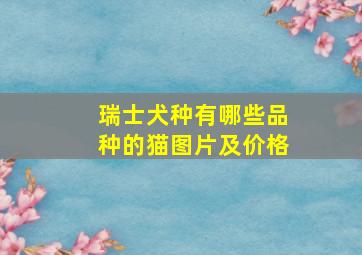 瑞士犬种有哪些品种的猫图片及价格