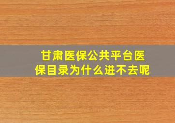 甘肃医保公共平台医保目录为什么进不去呢