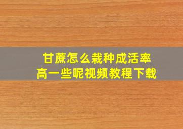 甘蔗怎么栽种成活率高一些呢视频教程下载