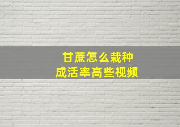 甘蔗怎么栽种成活率高些视频