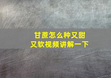 甘蔗怎么种又甜又软视频讲解一下