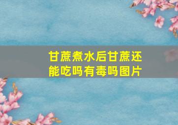 甘蔗煮水后甘蔗还能吃吗有毒吗图片