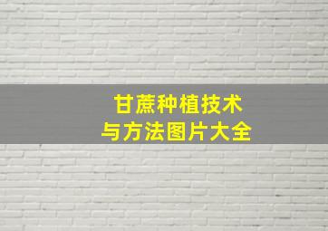 甘蔗种植技术与方法图片大全