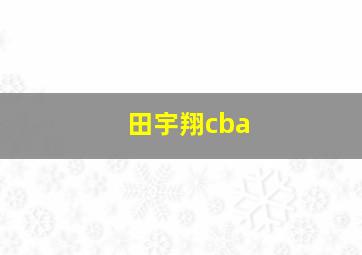 田宇翔cba