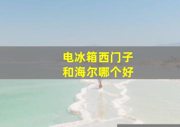 电冰箱西门子和海尔哪个好