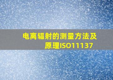 电离辐射的测量方法及原理ISO11137