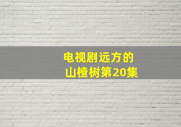 电视剧远方的山楂树第20集