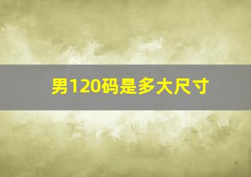 男120码是多大尺寸